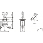 toggle switch E-TEN1021 15A 250VAC